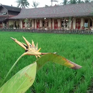 Rice Padi Artha Affittacamere